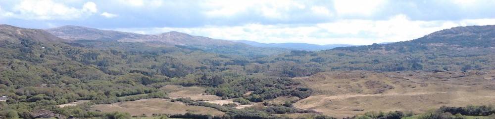 Forestry Company Cork