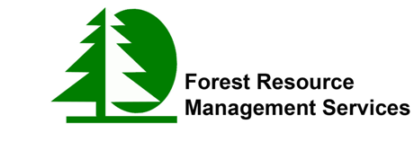 Forestry company ireland