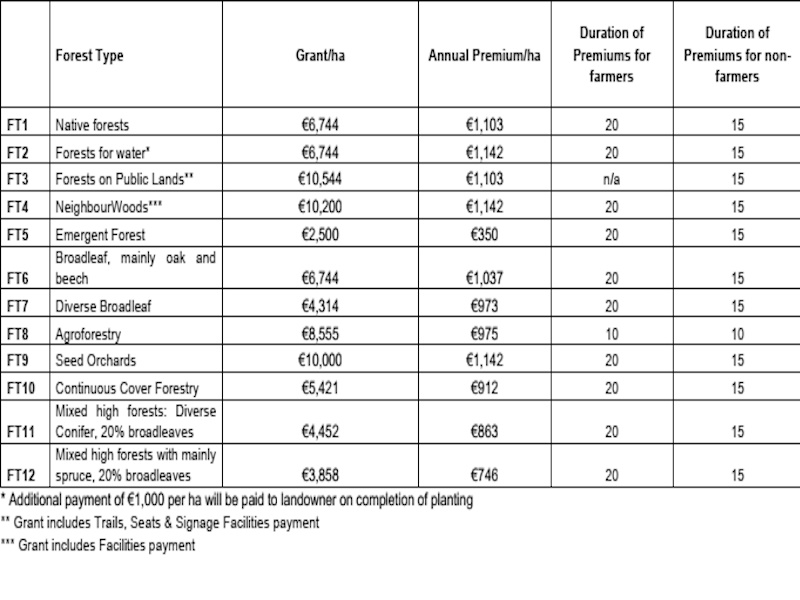 forestry grants and premiums